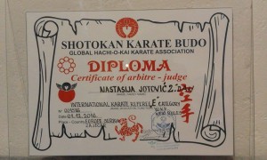 22782365_1880225302305718_209455663_n